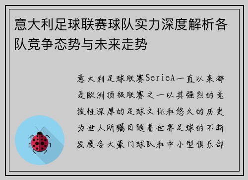 意大利足球联赛球队实力深度解析各队竞争态势与未来走势