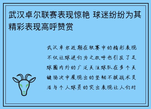 武汉卓尔联赛表现惊艳 球迷纷纷为其精彩表现高呼赞赏